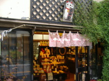 Manekineko cats store